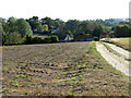 Footpath through fields to Great Bealings