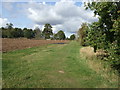 Footpath to Norwood Park