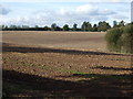 Farmland off the B6386