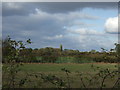 Farmland off Mansfield Road