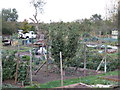 Market garden, Edingley