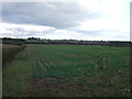 Farmland off Lower Kirklington Road