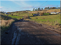 NS4758 : Track to Capellie Farm by wfmillar