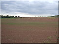 Farmland off the A612