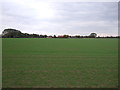 Farmland near South Muskham