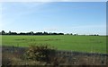 Farmland near New Rossington