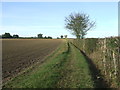 Footpath To Leys Farm