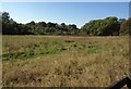 Meadow near Merstham