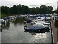 Walton Marina