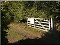 The entrance to Willow Trout Lakes