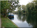 The Thames at Ryepeck Meadow