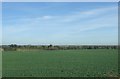 Farmland south of Askham