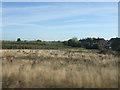 Farmland near Sutton on Trent