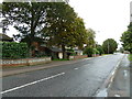 Autumn in Mentmore Road