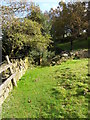 Footpath near Hollins Lane