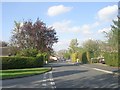 Riversvale Drive - viewed from Springfield Road