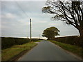 SE8168 : Looking north along Langton Road by Ian S