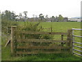 Courthill from the road to Kelso