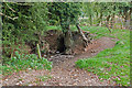 Bridge over Fishmore Brook