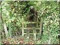 Footpath and footbridge near Llangrannog