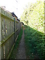 Footpath through a housing estate