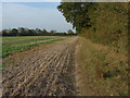 Fields near Oakley Green.