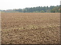 Stubble cultivation at Courthill