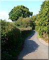 Narrow lane to Hereford Road, Monmouth