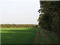 Path to Fen Ditton