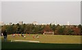 Playing fields near Coombe Wood