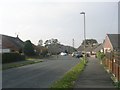 Beech Close - viewed from Beech Grove