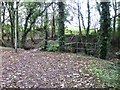 Footbridge over Norbury Brook