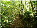 The North Downs Way on the outskirts of Cuxton