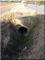 Drainage Pipe next to B1116 Main Road, Parham