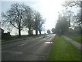 Low Street - viewed from The Fairway