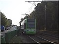 Tram beside Lodge Lane