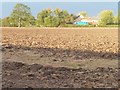 Markfield Farm in the early morning sun