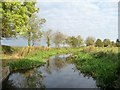 Reflections of trees, Chesterfield Canal