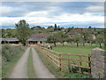 The lane to Pound Farm, Tillers Green