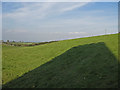 In the shadow of a disused silage tower