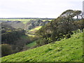 View towards Brinscombe Copse