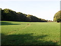 Footpath to Littlepark Wood