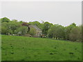 Fields and woodland around Wardrew House