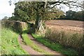 Broadclyst: College Lane