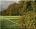 Gate by the East Devon Way