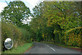 A mirror by Chiddingfold Road