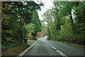 A283 approaching Chiddingfold