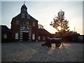 Cannon in the Royal Arsenal development