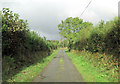 Two unnamed roads form T-junction east of Pen-rhiw