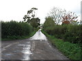 The lane to Sherborne